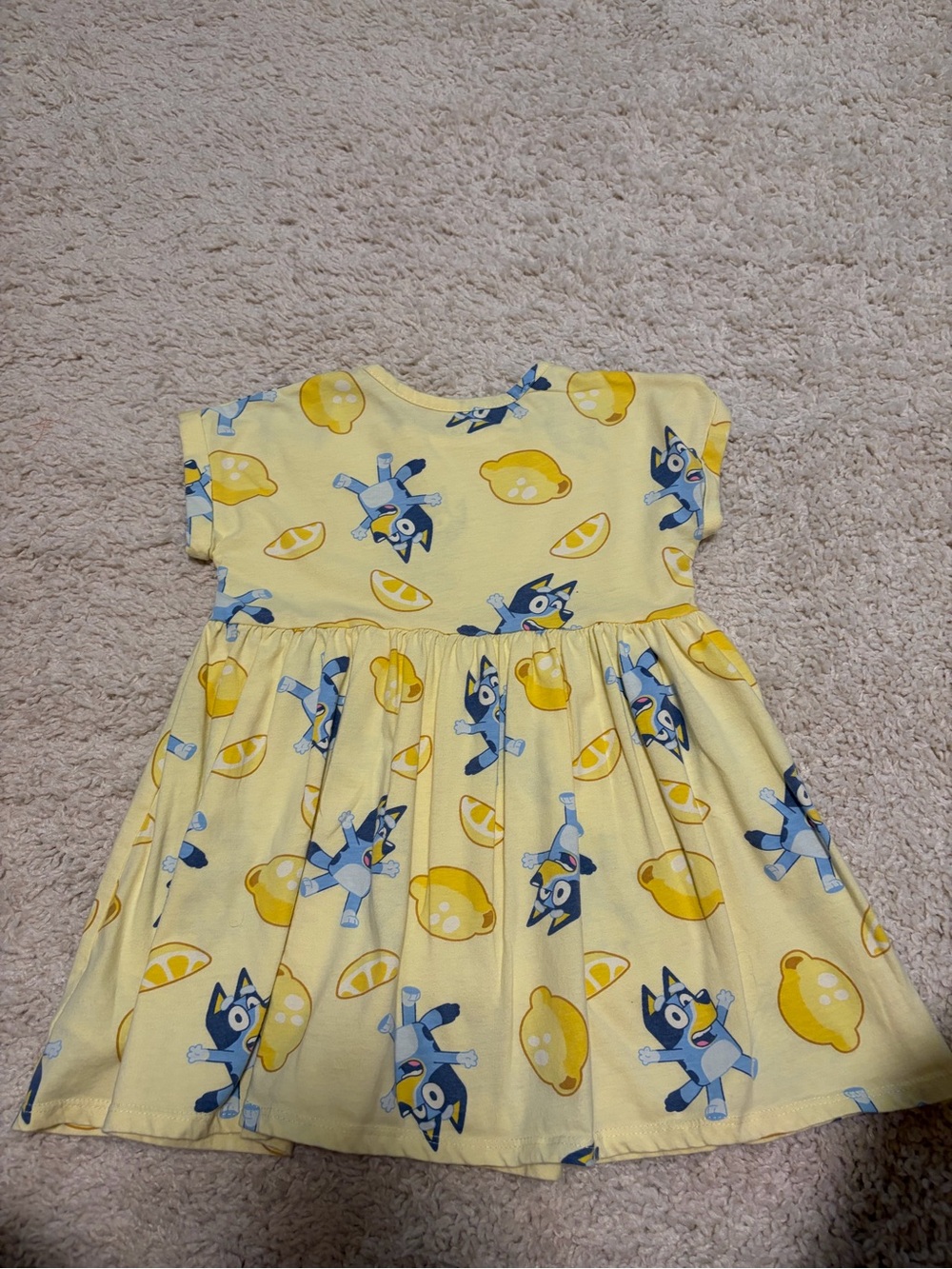 Bluey size 4T